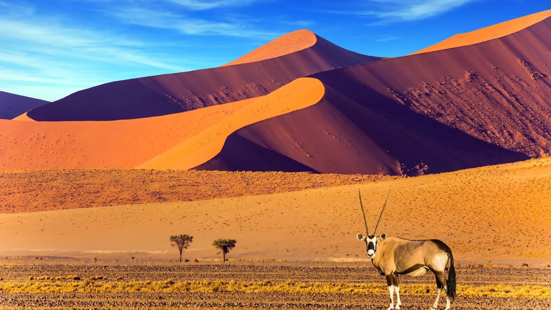 14 Day Namibia & Botswana Expedition